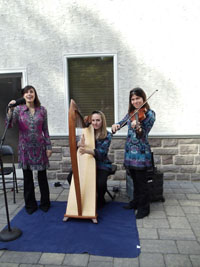The Peacock's Feather Celtic Music