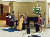 The Peacock's Feather Celtic Music